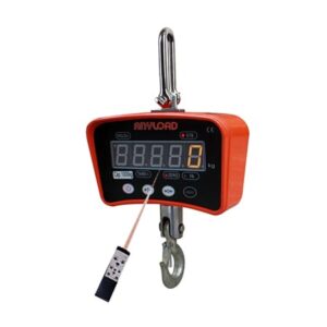 OCSM3 Crane Scale Product Photo